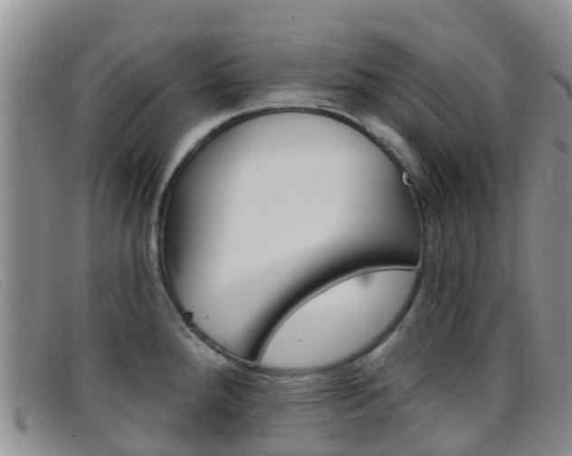 X0000096721288200802051052