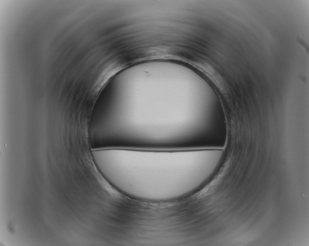 X0000096721289200802051052