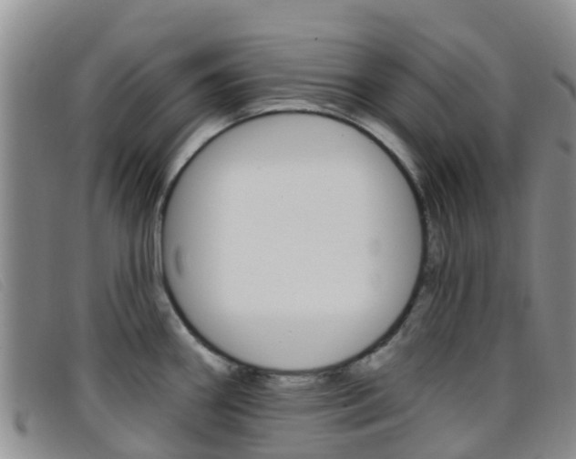 X0000096721290200802051052