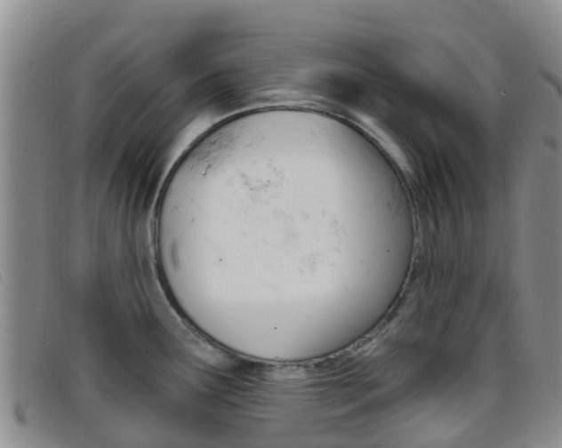 X0000096721291200802051052