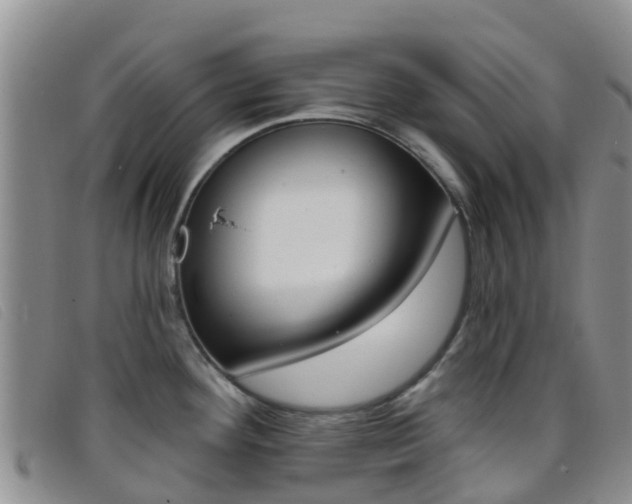X0000096721292200802051052