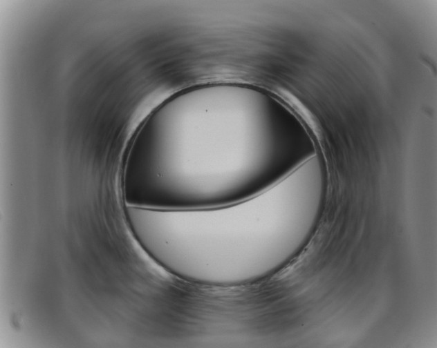 X0000096721293200802051052