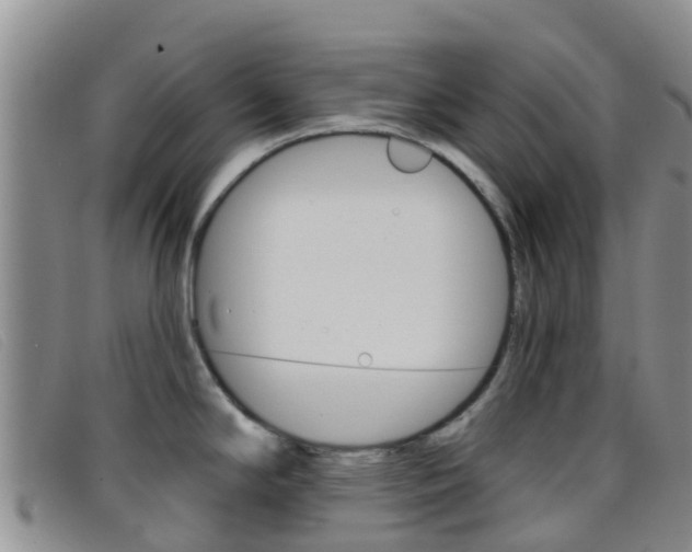 X0000096721294200802051052
