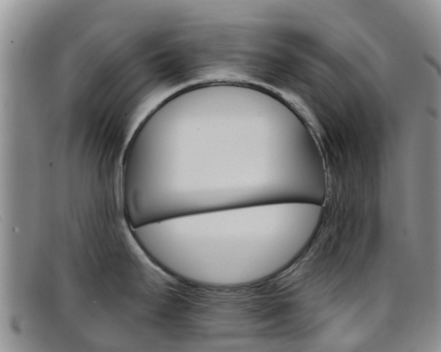 X0000096721295200802051052