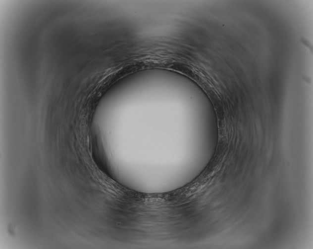X0000096721297200802051051