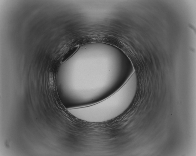 X0000096721298200802051051