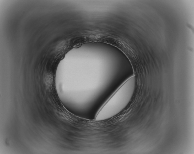 X0000096721299200802051051