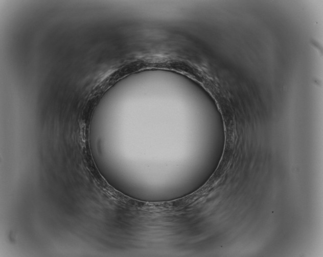 X0000096721301200802051051