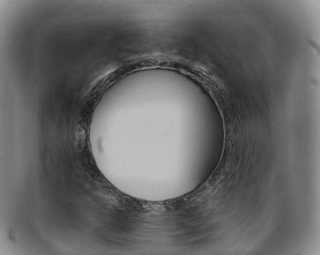 X0000096721302200802051051