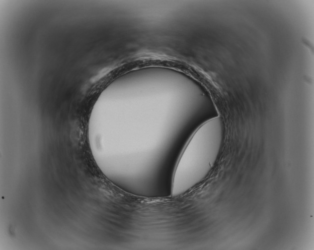 X0000096721303200802051051