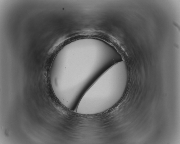 X0000096721304200802051051