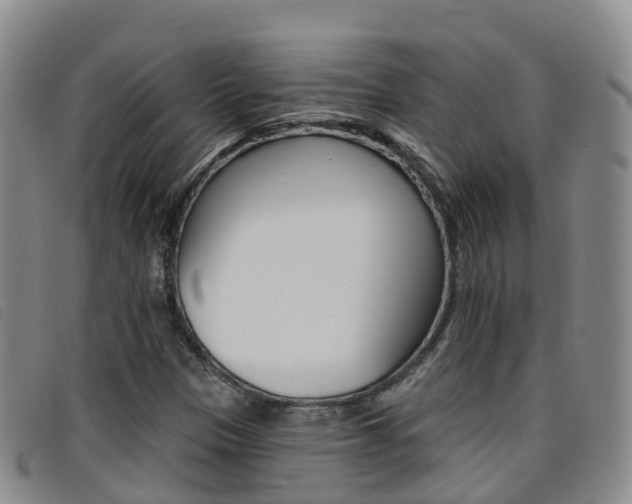 X0000096721305200802051051