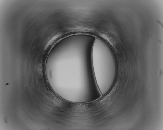 X0000096721307200802051051