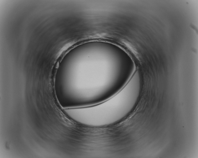X0000096721308200802051051