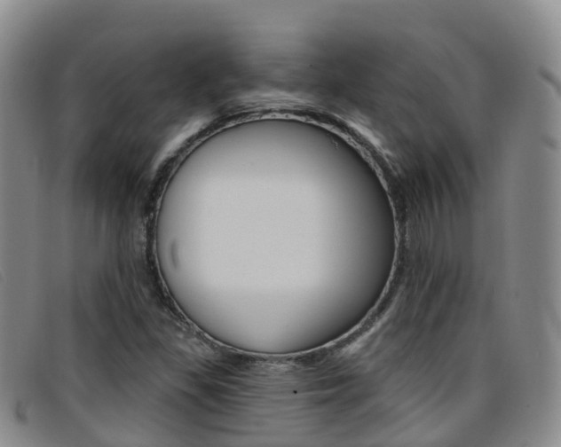 X0000096721309200802051051