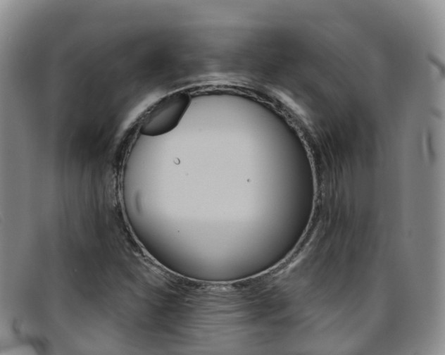 X0000096721310200802051051