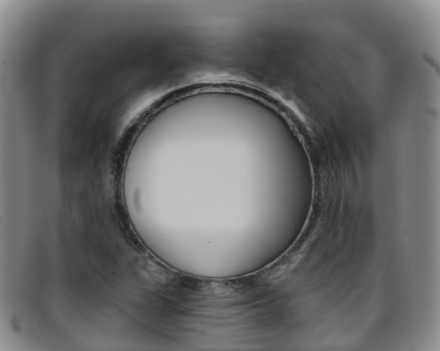 X0000096721311200802051051