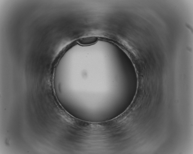 X0000096721312200802051051