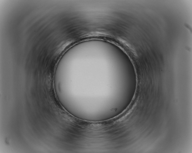 X0000096721313200802051051