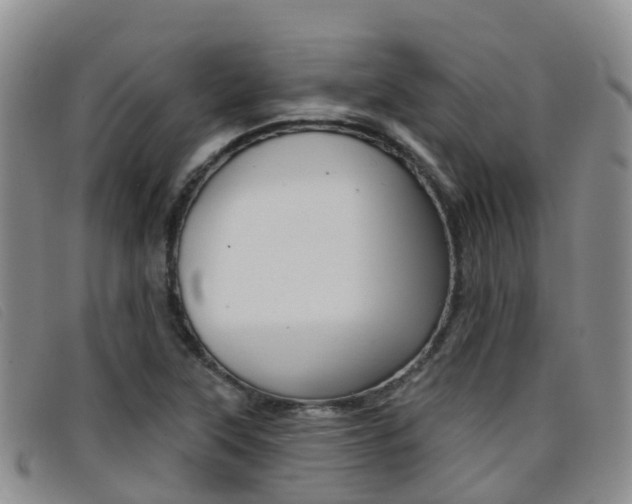 X0000096721315200802051051