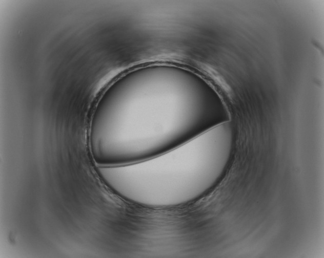 X0000096721316200802051051