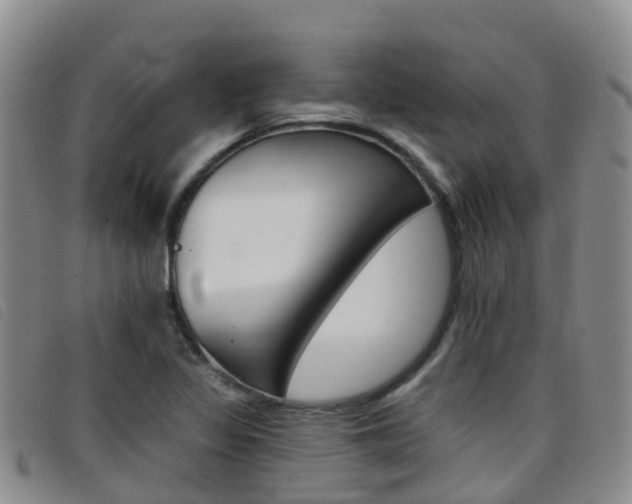 X0000096721317200802051051