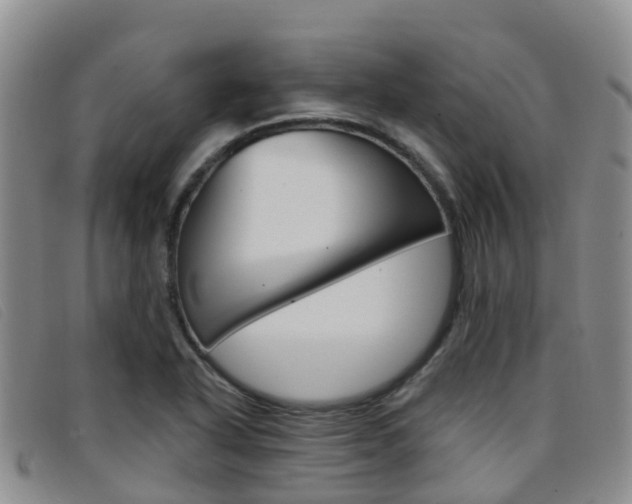X0000096721318200802051051