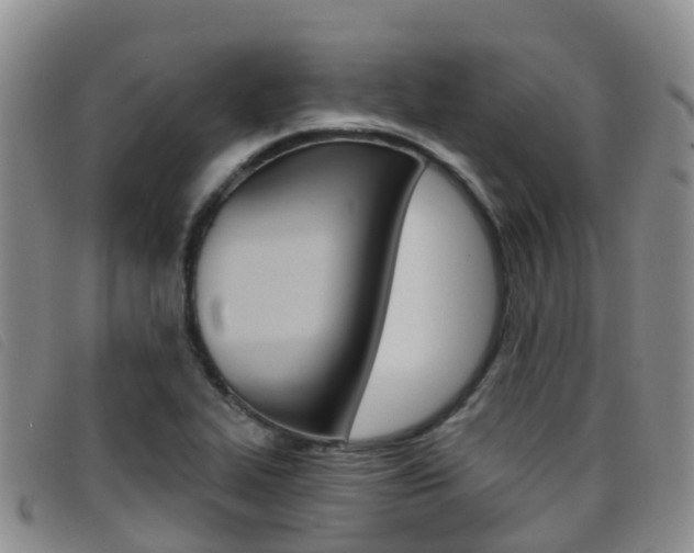 X0000096721319200802051051