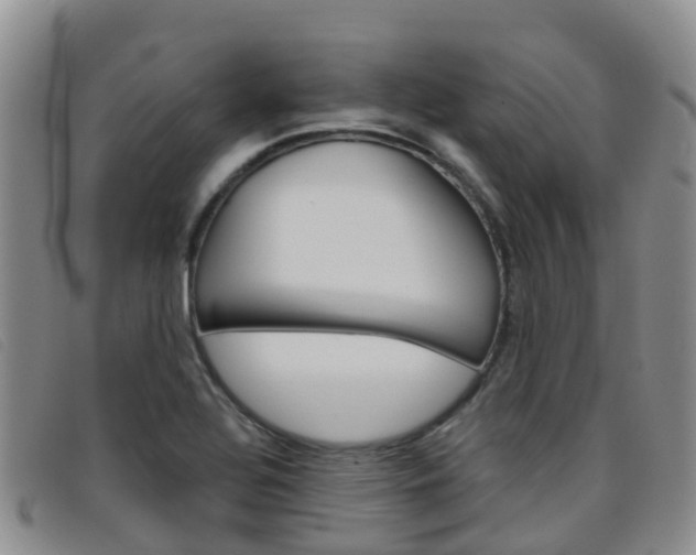 X0000096721320200802051051
