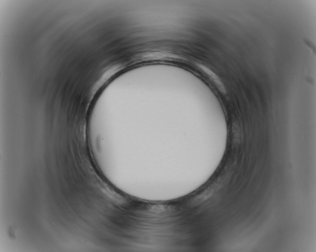 X0000096721322200802051051
