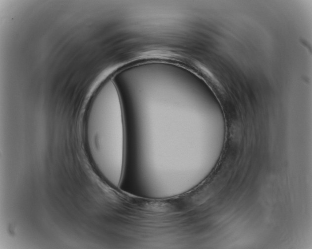 X0000096721323200802051051