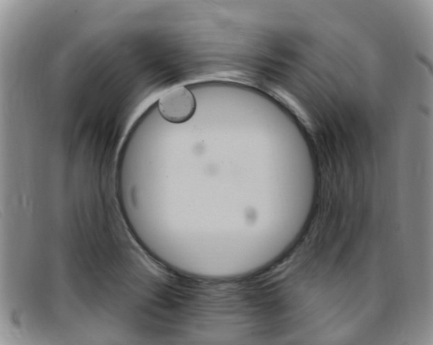 X0000096721324200802051051