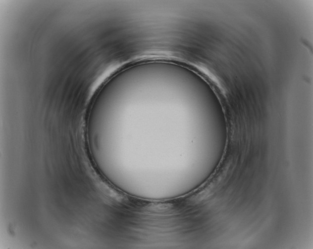 X0000096721325200802051052