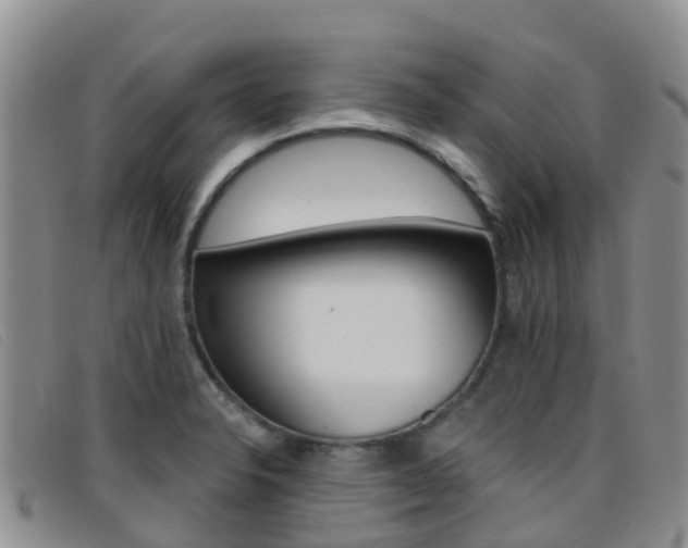X0000096721326200802051052