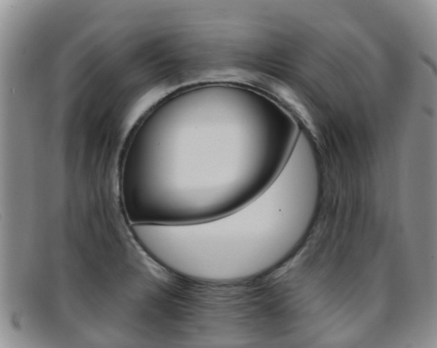 X0000096721328200802051052