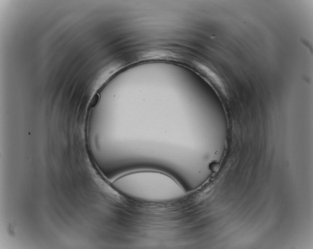 X0000096721330200802051052