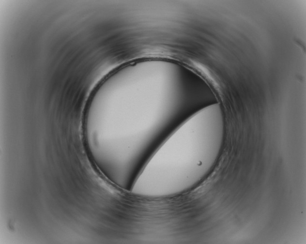X0000096721331200802051052