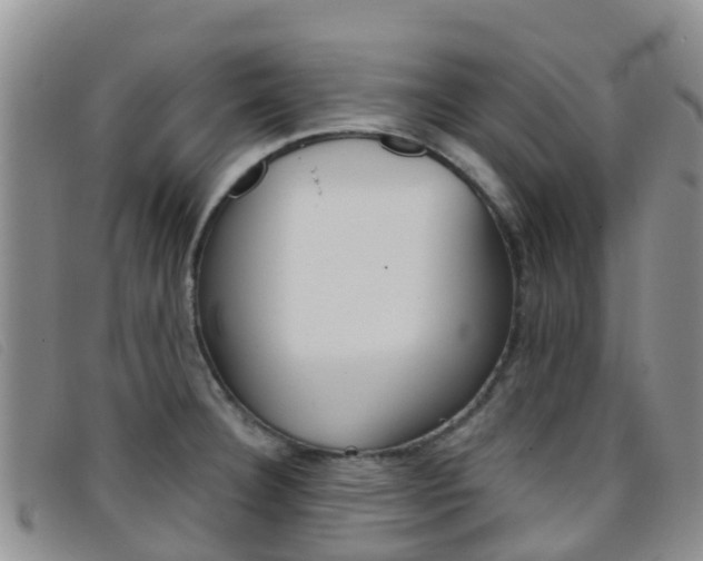 X0000096721332200802051052