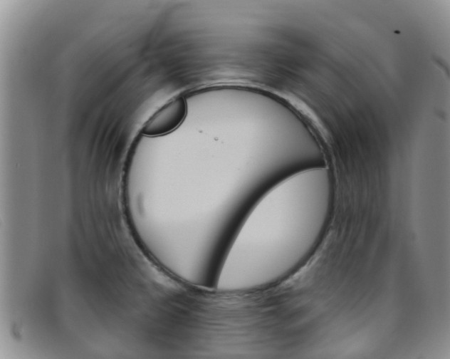 X0000096721333200802051052