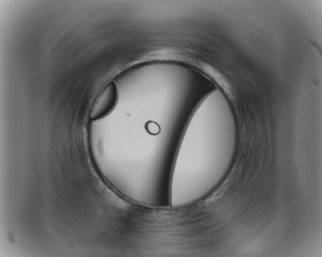 X0000096721334200802051052