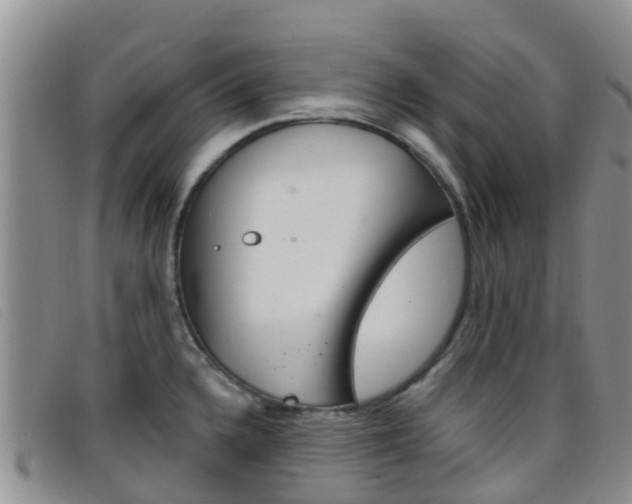 X0000096721336200802051052