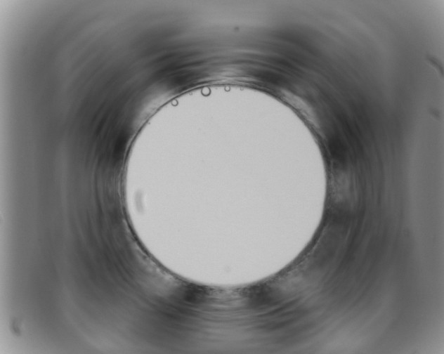 X0000096721338200802051052