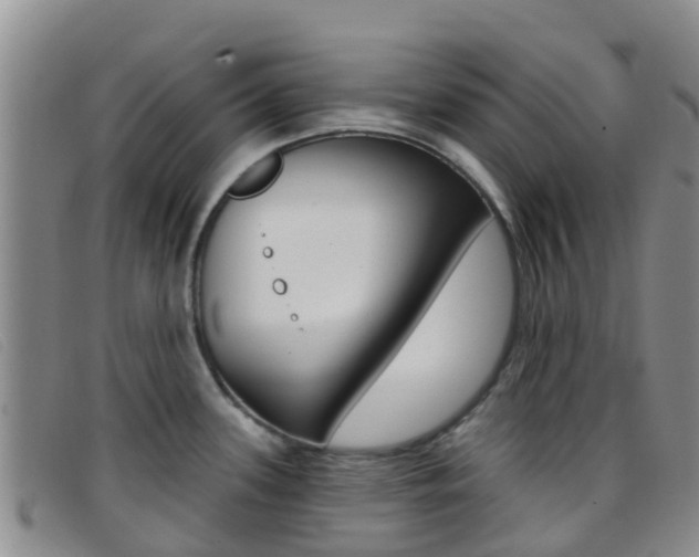 X0000096721339200802051052