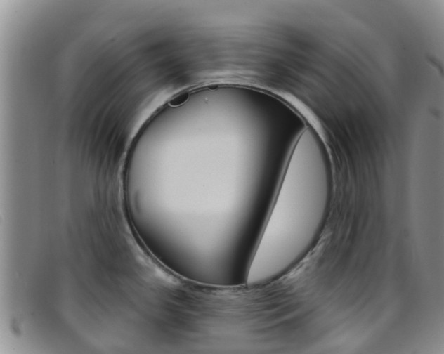X0000096721341200802051052