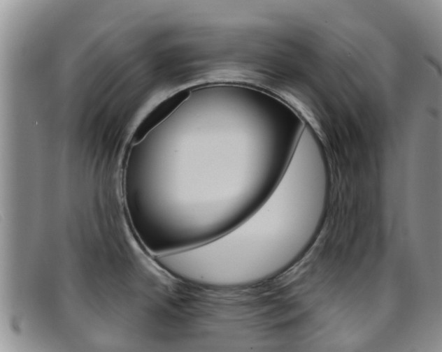 X0000096721342200802051052