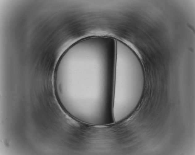 X0000096721343200802051052