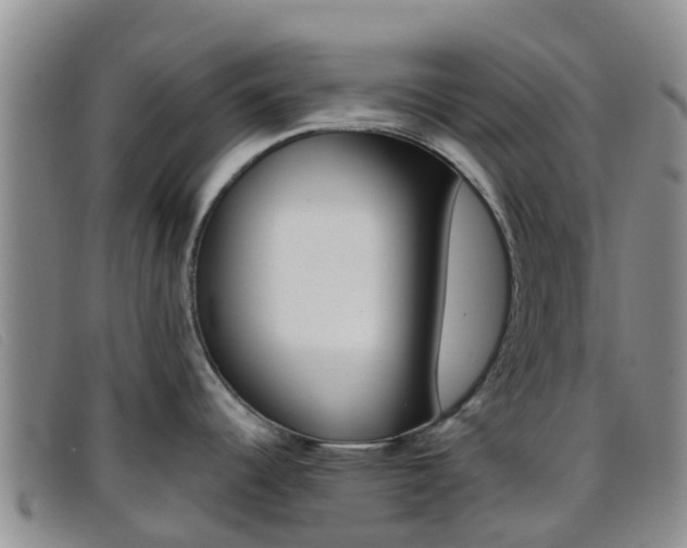 X0000096721344200802051052