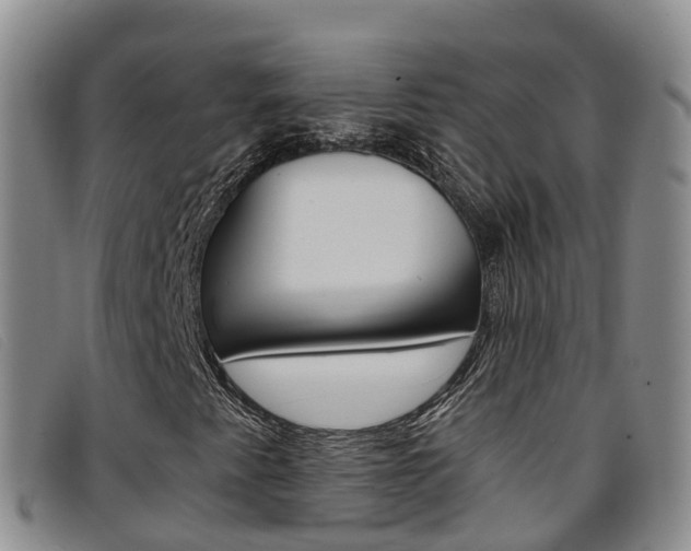 X0000096721345200802051051