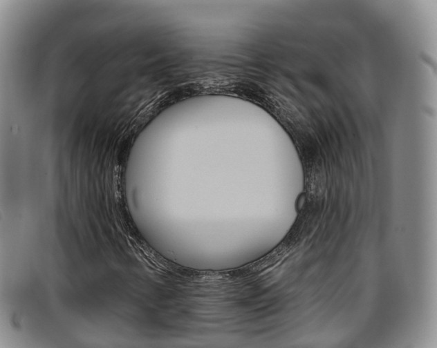 X0000096721346200802051051