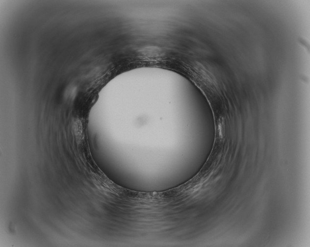 X0000096721347200802051051